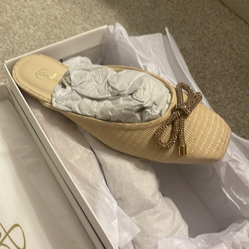 Guilhermina Ballet Mules NWT Anthropology